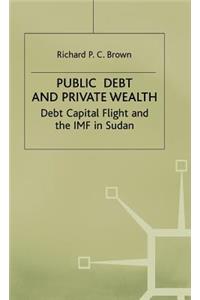 Public Debt and Private Wealth