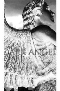 Dark Angel Writing Drawing Journal