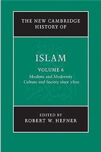 Muslims and Modernity: Culture and Society Since 1800