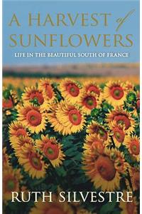 A Harvest of Sunflowers