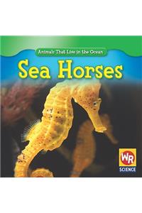 Sea Horses