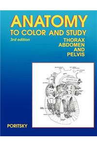 Anatomy to Color and Study Thorax Third Edition