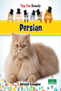 Persian