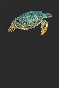 Turtle Colors