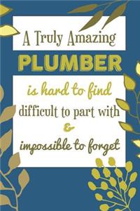 A Truly Amazing PLUMBER Is Hard To Find Difficult To Part With & Impossible To Forget