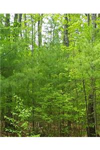 School Composition Book Springtime Evergreens