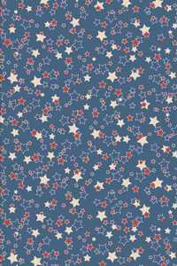 Patriotic Pattern United States of America 47