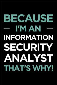 Because I'm an Information Security Analyst That's Why