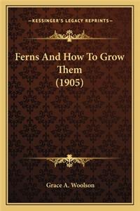 Ferns And How To Grow Them (1905)