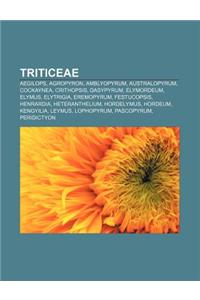 Triticeae