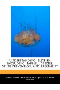 Understanding Jellyfish Including Harmful Species, Sting Prevention, and Treatment