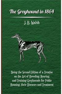 The Greyhound In 1864 - Being The Second Edition Of A Treatise On The Art Of Breeding, Rearing, And Training Greyhounds For Public Running, Their Diseases And Treatment