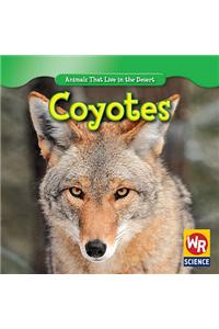 Coyotes