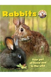 Rabbits