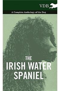 The Irish Water Spaniel - A Complete Anthology of the Dog