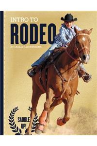 Intro to Rodeo