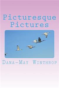 Picturesque Pictures