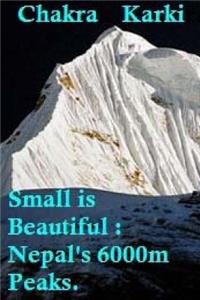 Small is Beautiful