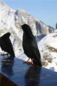 Two Blackbirds on the Balcony Journal: 150 Page Lined Notebook/Diary