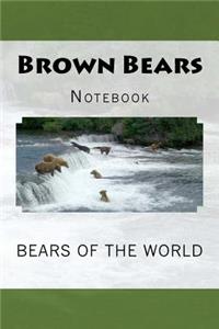 Brown Bears
