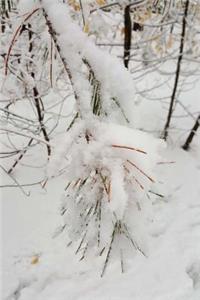 Pretty Winter Photography Journal