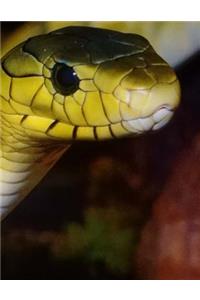 Snakes Notebook