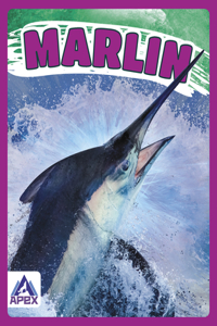 Marlin