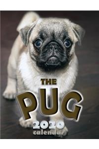 The Pug 2020 Calendar