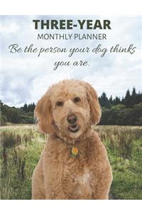 Three Year Monthly Planner Starting 2020 Agenda with Weekly Plan Space - Best Gift For Dog Owner - Funny Cockapoo Appointment Book for 2021 & 2022