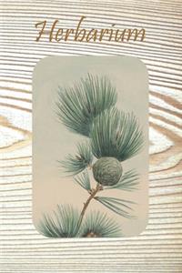 Herbarium