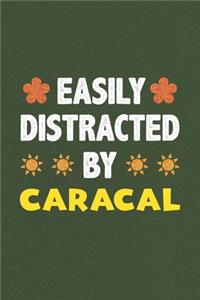 Easily Distracted By Caracal