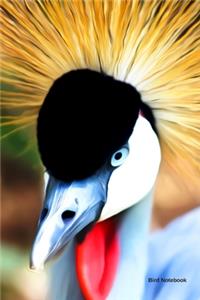 Bird Notebook