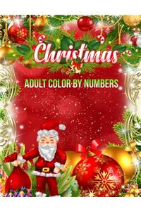 Christmas Adult Color By Numbers