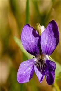 Purple Dog Violet Flower Bloom Journal