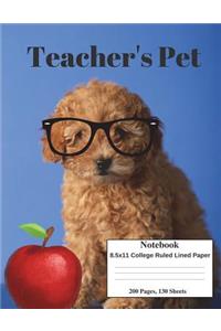 Tan Puppy Teacher's Pet