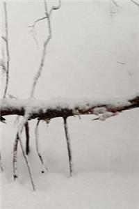 2019 Daily Planner Winter Snow Covered Branch 384 Pages