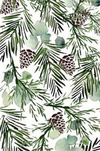 Pinecones in Winter