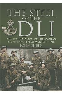 Steel of the Dli : the 2nd Battalion of the Durham Light Infantry at War 1914-1918