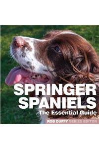 Springer Spaniels