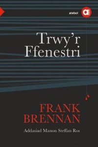 Cyfres Amdani: Trwy'r Ffenestri