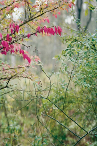 Janelle Lynch - Another Way of Looking at Love