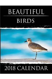 Beautiful Birds - 2018 Calendar