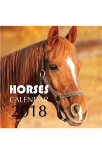 Horses Calendar 2018