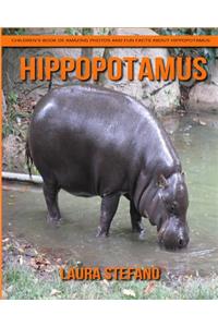 Hippopotamus