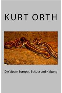 Vipern Europas, Schutz und Haltung