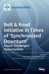 Belt & Road Initiative in Times of 'Synchronized Downturn'