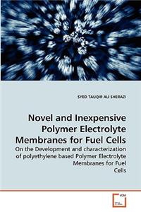 Novel and Inexpensive Polymer Electrolyte Membranes for Fuel Cells