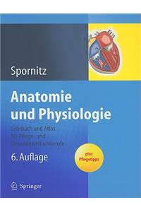 Anatomie Und Physiologie