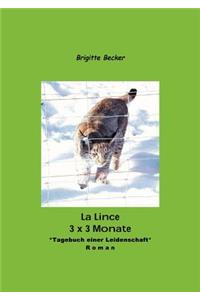 Lince - 3 X 3 Monate