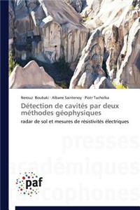 Détection de Cavités Par Deux Méthodes Géophysiques